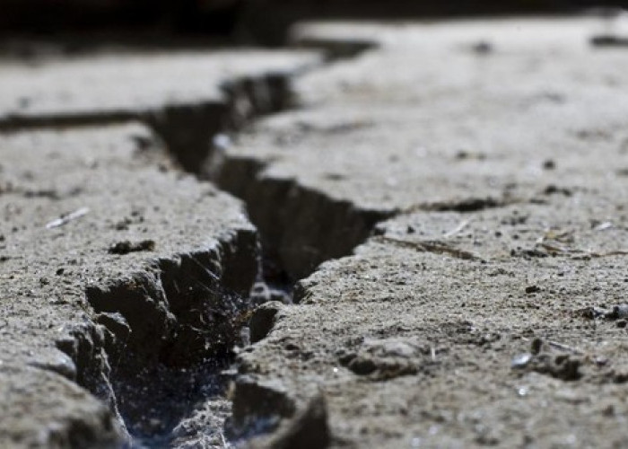 BMKG Pastikan Gempa di Pacitan tak Berpotensi Tsunami
