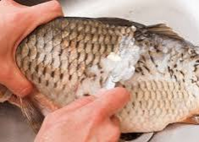 Begini Cara Mudah Membersihkan Sisik Ikan yang Keras, Anti Ribet