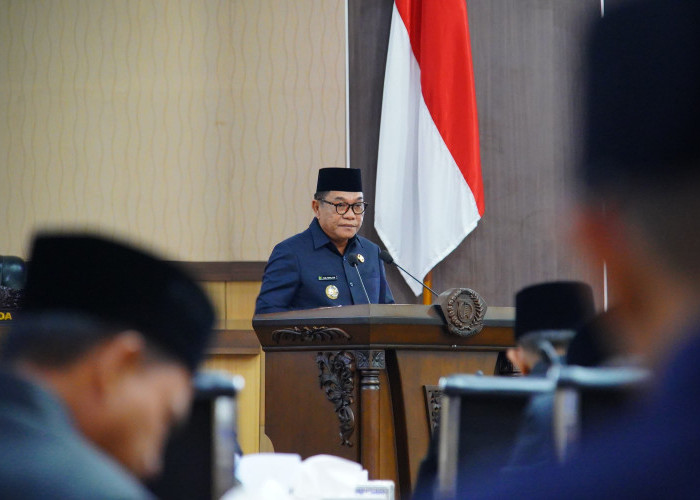 Sampaikan Jawaban, Bupati Muba Jelaskan Silpa APBD 2024