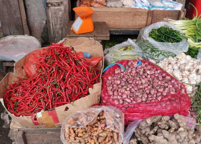 Ini 4 Manfaat Mengonsumsi Bawang Merah