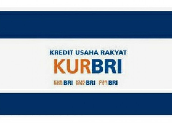 Lagi Ajukan KUR di Bank BRI, Berikut Panduan Agar Pinjaman Bisa Cair