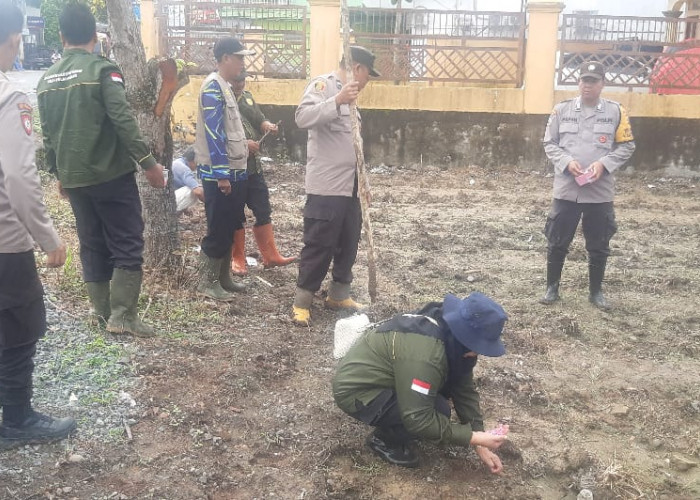 Polsek SP Padang Manfaatkan Lahan Nganggur dengan Bertanam Jagung