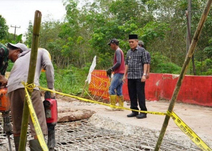 Wabup Ogan Ilir Tinjau  Langsung Jembatan Rusak di Kecamatan Payaraman