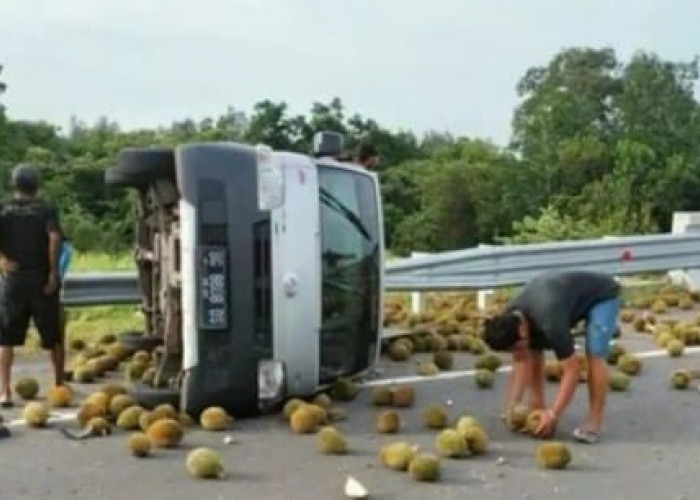 Kecelakaan di Tol Indraprabu Kembali Terjadi, Kali ini Mobil Pick Up Pengangkut Durian Terguling