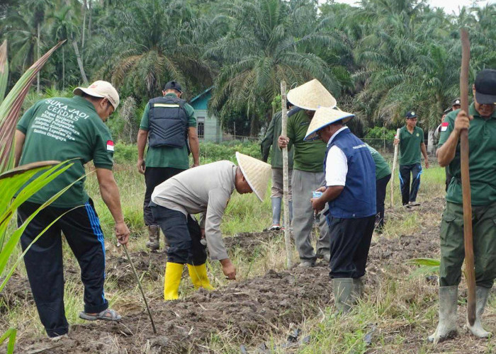 Polsek Lalan Tanam Jagung, Ubi, Menuju Ketahanan Pangan 