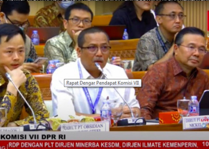 Wakil Ketua Komisi VII DPR Berang, Bos Smelter tak Berbahasa Indonesia