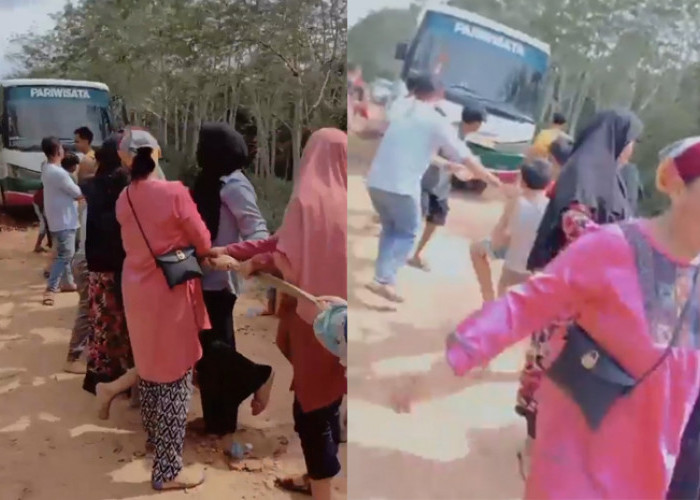 Wow! Emak-Emak di Ogan Ilir Tarik Bus yang Terjebak Jalan Rusak dan Berlumpur, Videonya Viral