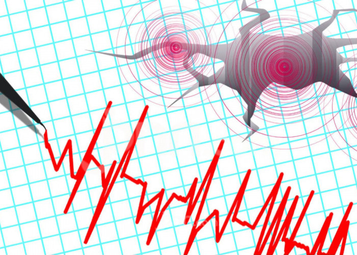 Gempa Landa Lombok Tengah, Getaran Terasa di  Bali