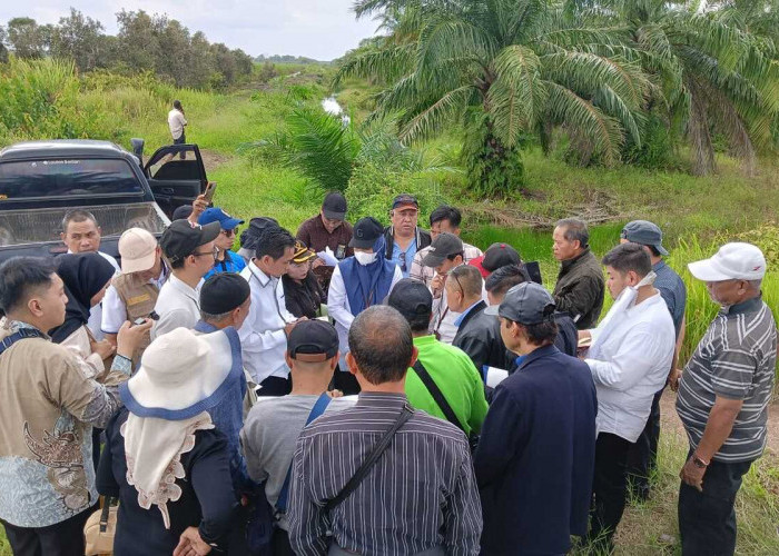 Tahun 2010 Masuk Palembang, Keluar Aturan Mendagri, 82 Hektare Lahan Masuk Muara Enim