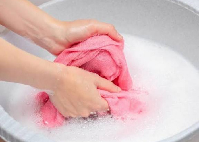 Tips Mudah Cuci Baju Agar Bebas dari Bulu Kucing, Hanya Gunakan Spons Dapur