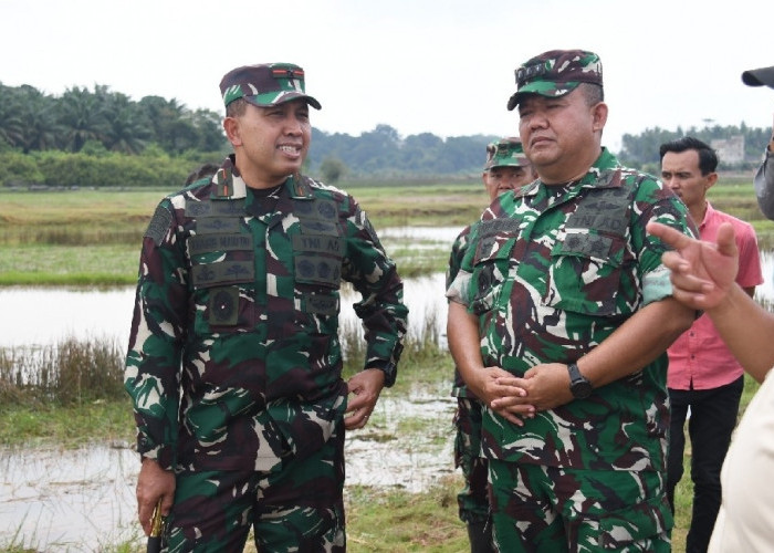 Perkuat Swasembada Pangan, Danrem 044/Gapo Tinjau Lokasi Cetak Sawah di Banyuasin