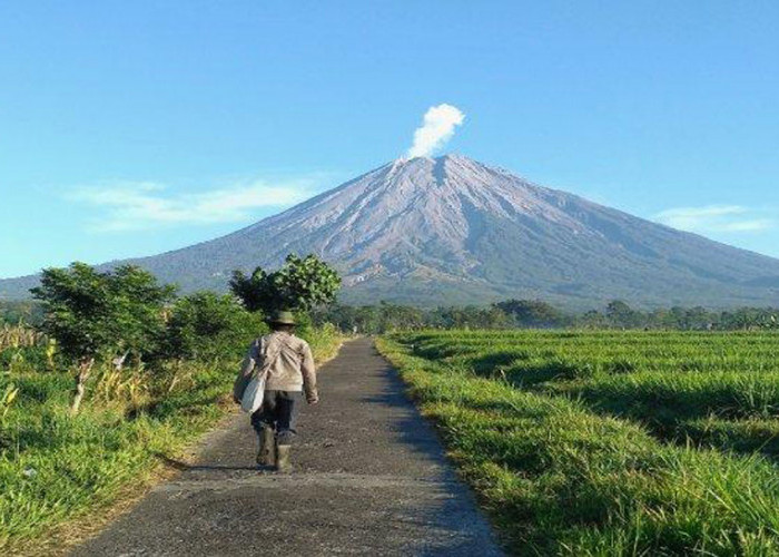 Gunung  Semeru Alami 19 Kali Gempa Letusan, Status Siaga