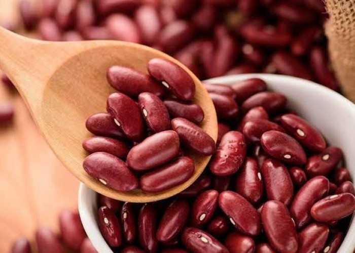 Mengandung Banyak Protein, 7 Manfaat Kacang Merah yang Jarang Diketahui