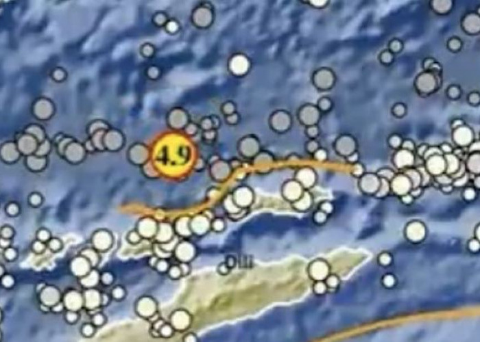 Semoga Tak Ada Korban, Gempa Masih Landa Wilayah Indonesia, Gempa 4,9 Guncang Kawasan Alor NTT Dini Hari Ini 