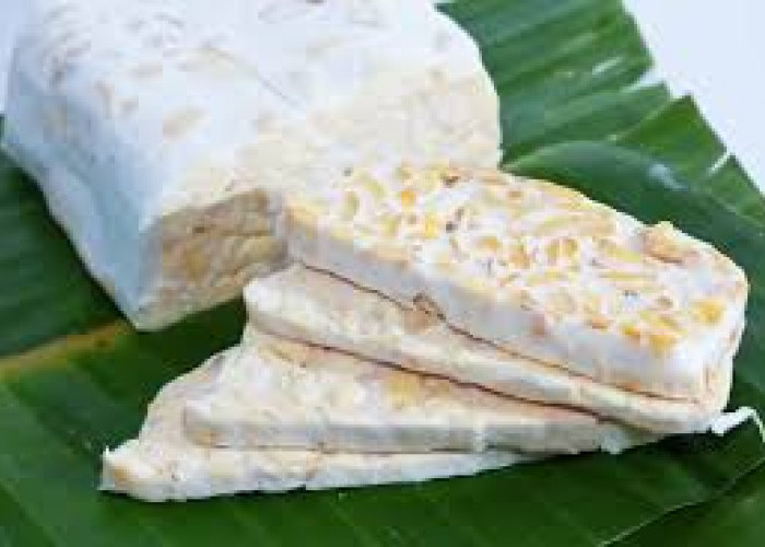 Rahasia Tempe Biar Tak Bau Busuk! ini 7 Tips Simpan Tempe agar Tetap Segar dan Awet Lebih Lama