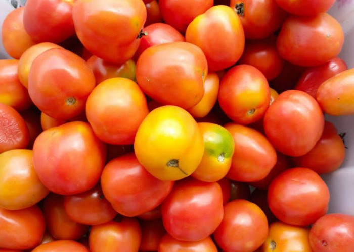 9 Manfaat Rutin Mengonsumsi Tomat, Nomor 3 Wanita Pasti Tertarik 