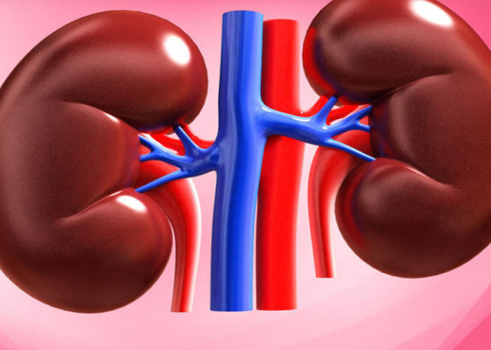 Malaysia Darurat Kasus Gagal Ginjal, ini Penyebabnya?