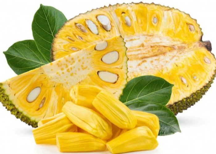 5 Manfaat Buah Nangka, Salah Satunya Dapat Mencegah Anemia
