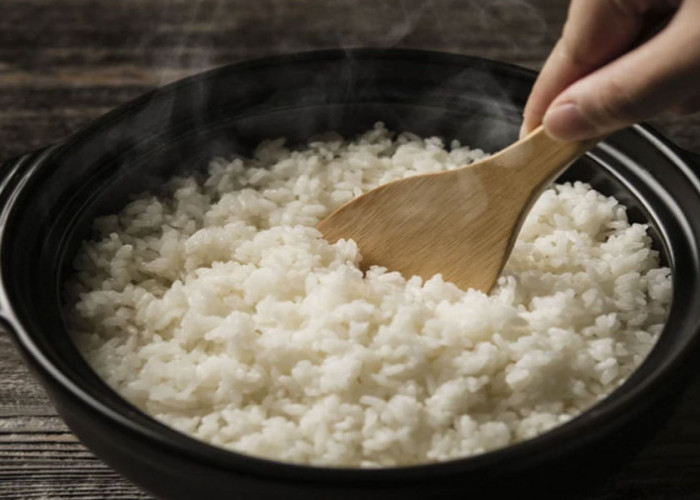 Dokter Ahli Saraf AS Ingatkan untuk Tidak Mengonsumsi Nasi Sisa, ini Penjelasannya