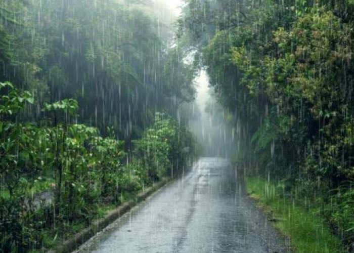 Prakiraan Cuaca Sumsel: 15 Wilayah Bakal Hujan Hari ini