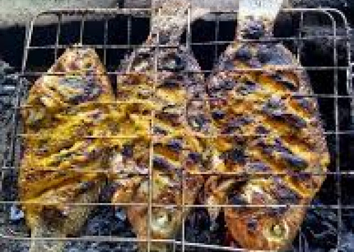 3 Tips Memanggang Ikan Agar Tidak Lengket di Pemanggang dan Tetap Utuh Saat Disajikan