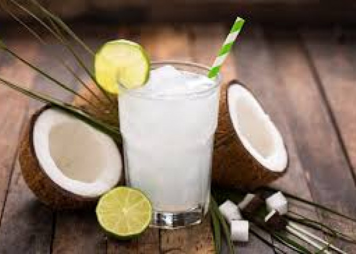 Simak! 6 Aturan Minum Air Kelapa 