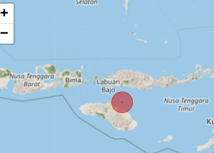 Gempa Bumi Landa Waingapu, ini Kekuatannya