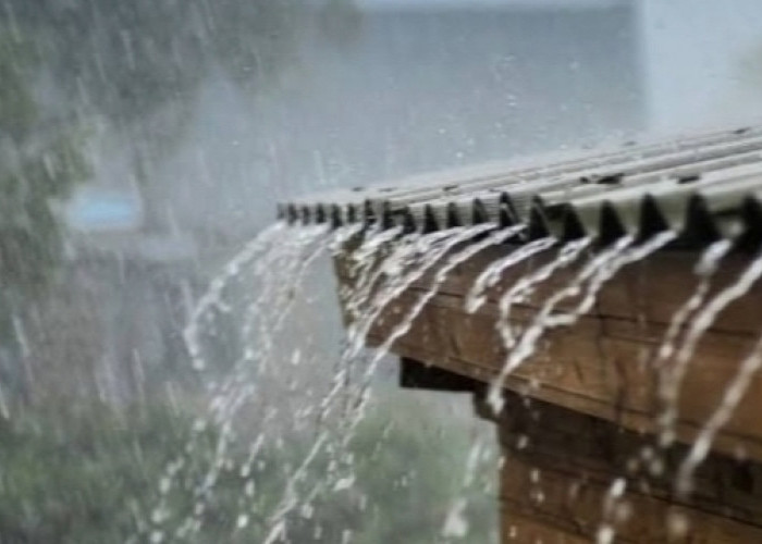 Info BMKG: 11 Wilayah Sumsel Diperkirakan Bakal Hujan Hari ini