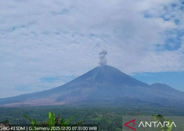 Gunung Semeru Kembali Erupsi, Ketinggian Letusan Mencapai 1.000 Meter