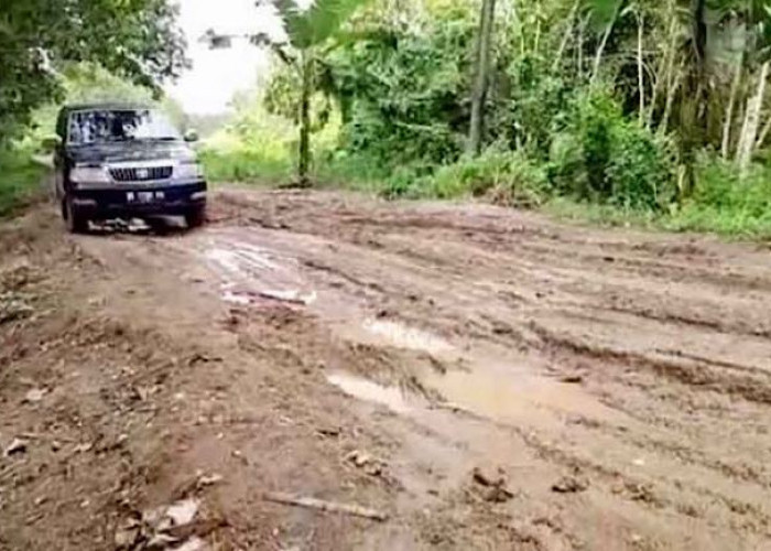 Tak Bertahan Lama, Jalan Lintas Kecamatan Tanjung Raja Lubuk Keliat dan Muara Kuang Ogan Ilir Jadi ‘Bubur’