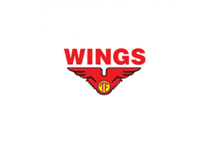 Buka 4 Posisi, Lowongan Kerja PT Wings Group