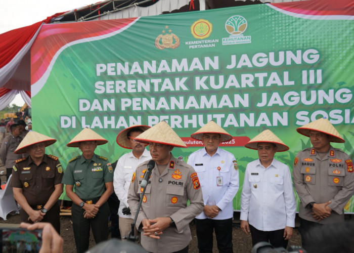 Wabup Ogan Ilir Dampingi Wakapolda Sumsel  Tanam Jagung Serentak  di Desa Muara Baru 