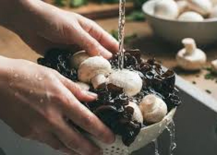 Tips Mencuci Jamur yang Benar agar Tetap Segar dan Higienis