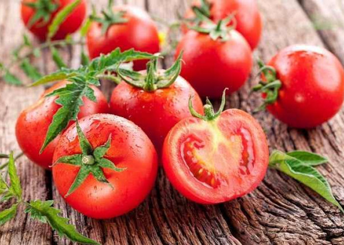 7 Manfaat Tomat untuk Kesehatan, Nomor 6 Disukai Ibu Hamil