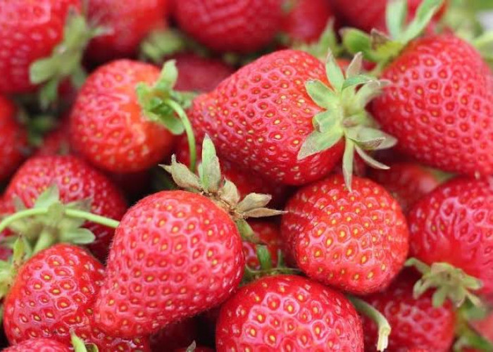 7 Manfaat Buah Strawberry untuk Tubuh, Nomor 4 Wanita Pasti Suka