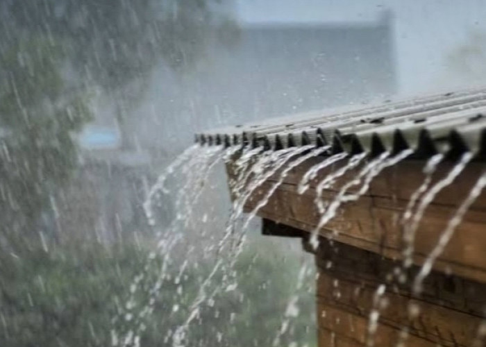Informasi BMKG: 6 Wilayah Sumsel Diperkirakan Bakal Hujan Hari ini