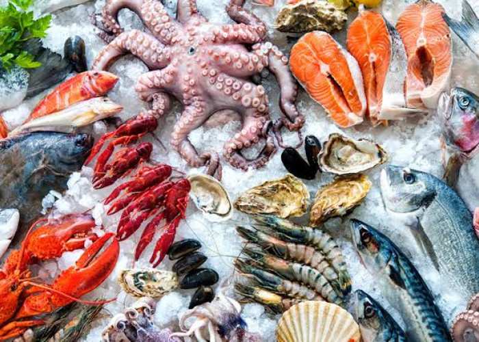 3 Makanan Ini Dapat Membantu Membantu Proses Penyembuhan Luka, Salah Satunya Seafood