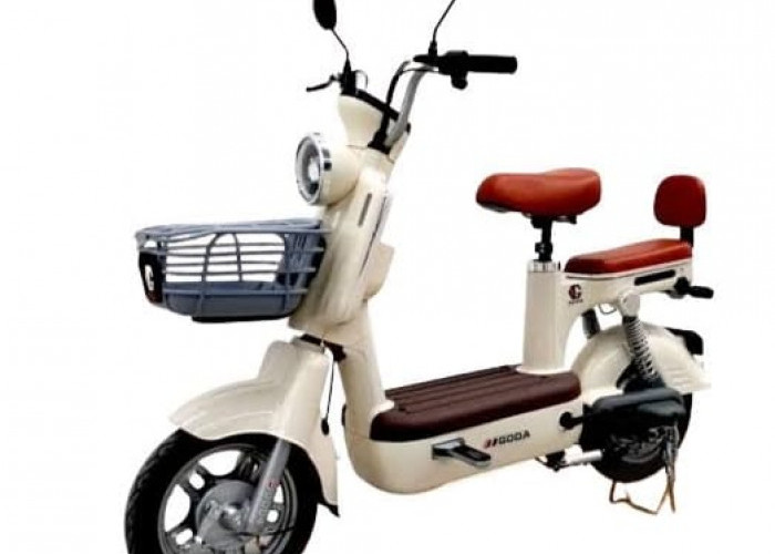 Desain yang Menggoda dan Mobilitas Tinggi, Cek Harga Sepeda listrik GODA Golden Panda