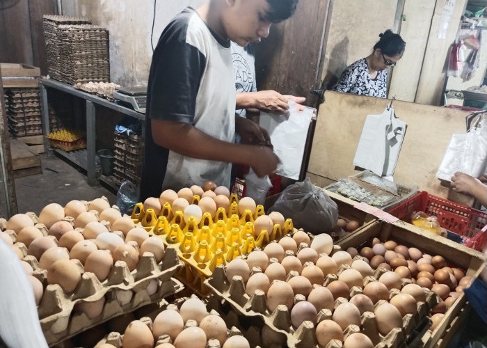 Telur di Palembang Berangsur Turun, ini Harganya