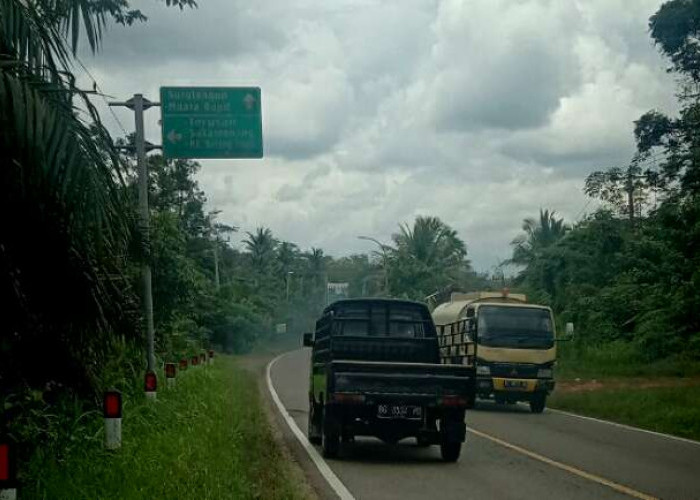 Cemas, Teror Lempar Batu di Sepanjang Jalinsum, Sopir Truk Angkutan Muatan Resah Jadi Target 