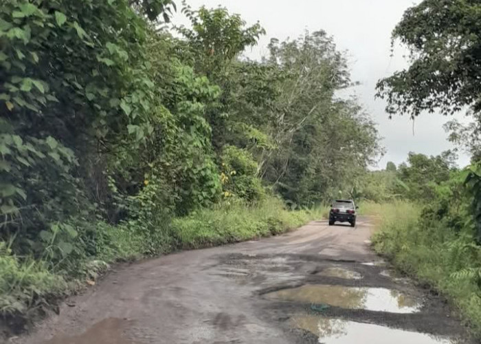 Rusak Parah, Jalan Lintas Lubuk Keliat-Muara Kuang Ogan Ilir