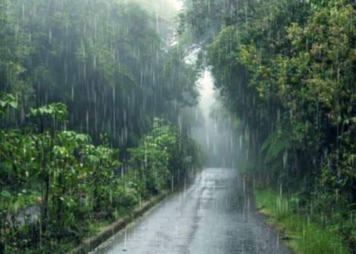 Hampir Separuh Wilayah Sumsel Diperkirakan Bakal Hujan Hari ini 