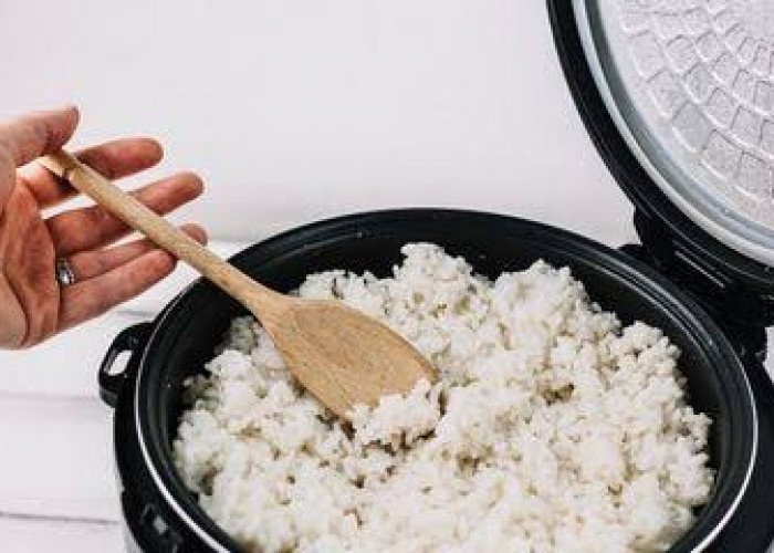 Inilah Penyebab Nasi di Magic Com Cepat Menguning dan Cara Mengatasinya