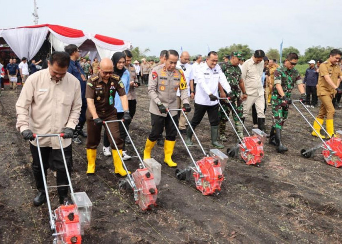 Kapolda Sumsel Tanam Jagung Serentak 1 Juta Ha  Di Ogan Ilir, Diikuti Polsek dan Desa