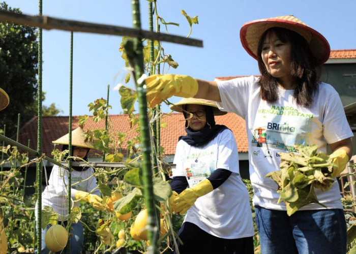 Getol Promosi Kesetaraan Gender, BRI Raih Penghargaan WEPs Award 2024, 