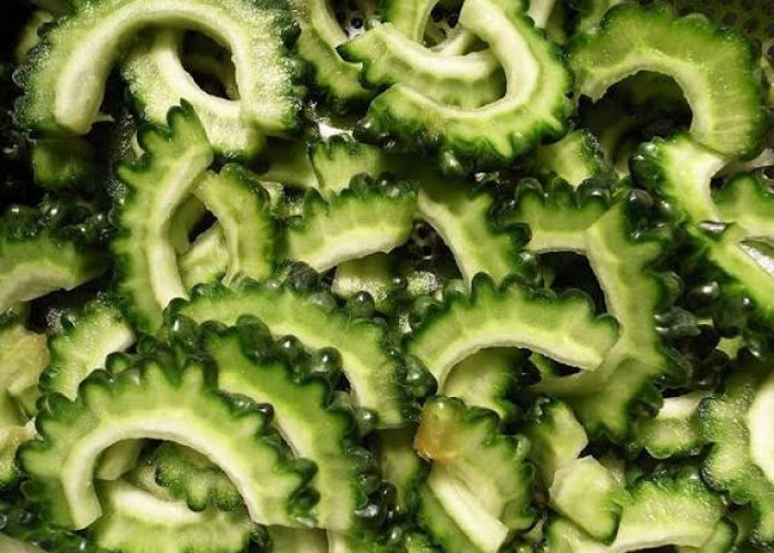 Simak! Ini 6 Makanan Pahit yang Kaya akan Manfaat untuk Pencernaan dan Kesehatan Tubuh
