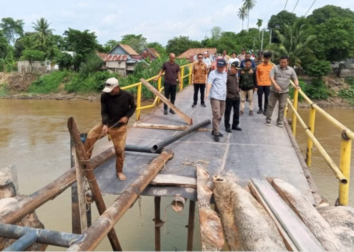 Wabup Ardani Tinjau Jembatan  Putus di Desa Lubuk Rukam-Muara Kumbang 