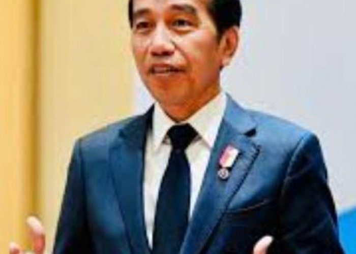 Presiden Jokowi Warning, BPK Akan Turun, Kades Melannggar Dana Desa