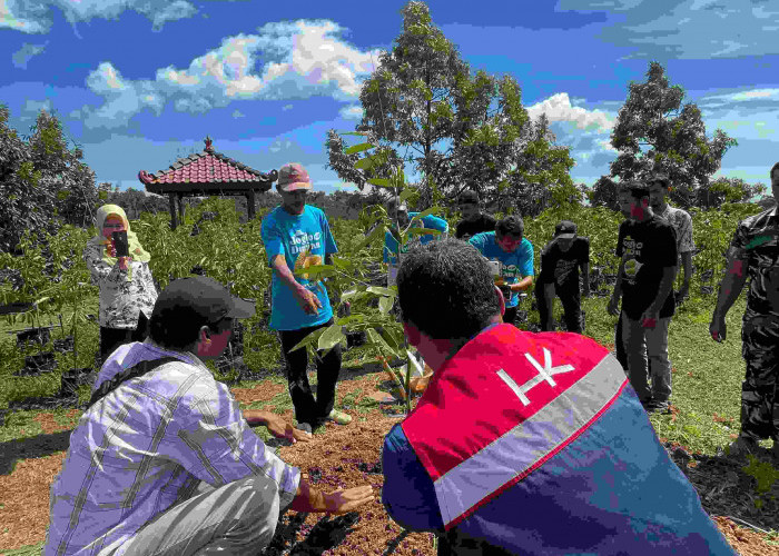 Hari Bumi Sedunia 2025, HK Tanam Ribuan Pohon, Zero Emission