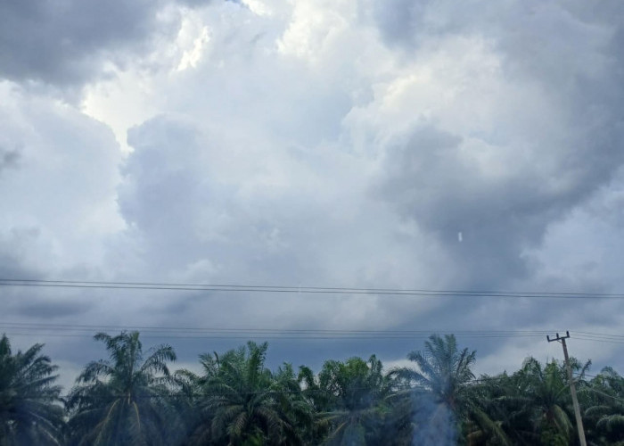 Prakiraan Cuaca Sumsel Hari Senin 26 Januari 2026 : Potensi Hujan Ringan, Sebagian Wilayah Berawan